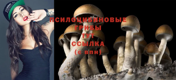 хмурый Володарск