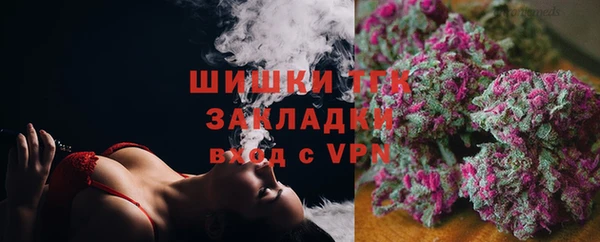 молекула духа Волосово