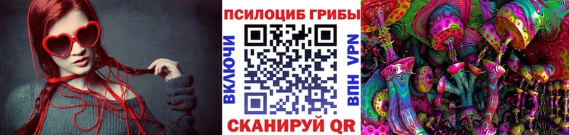 kraken рабочий сайт  Омск  Псилоцибиновые грибы GOLDEN TEACHER 